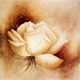 White Rose I