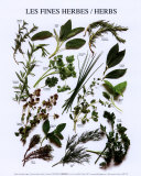 Buy Mixed Herbs at AllPosters.com