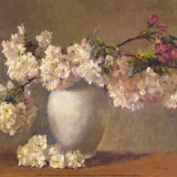 Buy Cherry Blossom at AllPosters.com