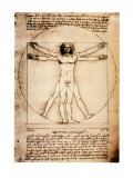 Vitruvian Man, c.1492