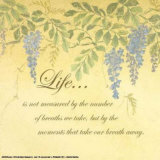 Buy Wisteria, Life Is Not Measured at AllPosters.com