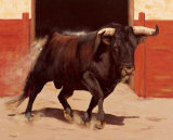 Buy Aldinegro at AllPosters.com