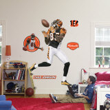 Chad Johnson -Fathead