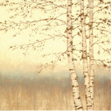 Birch Silhouette II