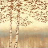Birch Silhouette I