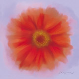 Buy Red Dahlia at AllPosters.com