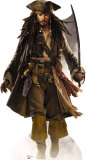 Pirates Of The Caribbean- Captain Jack Sparrow