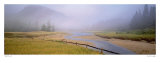 Buy Tidal Mist at AllPosters.com