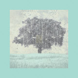 Buy Meadow Land IV at AllPosters.com