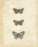 Botanical Butterflies II
