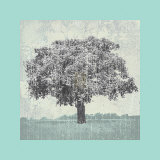 Buy Meadow Land II at AllPosters.com