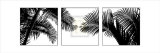 Buy Palm Frond Triptych II at AllPosters.com
