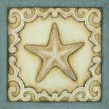 Cottage Starfish
