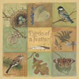 Buy Birds of a Feather at AllPosters.com