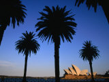 Buy Sydney Opera House Viewed from Dawes Point Park, Sydney, New South Wales, Australia at AllPosters.com