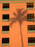 Palm Tree Shadow on Building Facade in the Art-Deco District of South Beach, Miami, Florida, USA