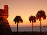 Palm Trees Next to Castillo De San Marcos at Sunset, St. Augustine, USA