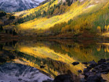 Aspen Forest Reflected in Maroon Lake, White River National Forest, Colorado, USA