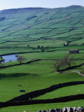 Green Dales and Traditional Stone Walls, England