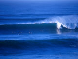 Buy Surfers at Bells Beach, Torquay, Australia at AllPosters.com