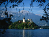 Buy Church of the Assumption on Blejski Otok (Bled Island) and Bled Castle, Bled, Slovenia at AllPosters.com