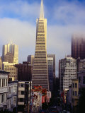 Low Cloud Around Transamerica Pyramid Building, San Francisco, California, USA