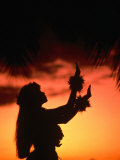 Silhouette of Hula Dancer on Waikiki Beach at Sunset, Waikiki, U.S.A.