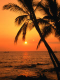 A Couple in Silhouette, Enjoying a Romantic Sunset Beneath the Palm Trees in Kailua-Kona, Hawaii