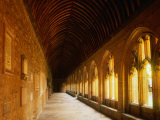 Buy Cloisters of New College, Oxford, England at AllPosters.com