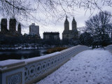 Central Park in Winter, New York City, New York, USA