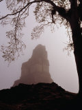 Buy Temple I of the Great Plaza Surrounded by Mist, Tikal, Guatemala at AllPosters.com