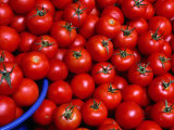 Buy Tomatoes for Sale, Istanbul, Turkey at AllPosters.com