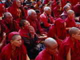 Nuns and Monks at Dalai Lama Sermon in Choglamsar, Ladakh, India