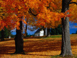Autumn in Barre, USA