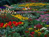 The Knot Garden, Stratford-Upon-Avon, United Kingdom