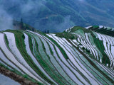 Buy Rice Terraces in the Mountains of Long Ji, Guangxi, China at AllPosters.com