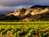 Buy Stag's Leap District, Napa Valley, United States of America at AllPosters.com
