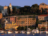 Buy Buildings on Waterfront, Santa Margherita, Liguria, Italy at AllPosters.com