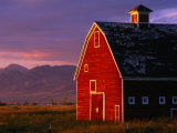 Buy Spring Sunshine on a Barn in Montana, Montana, USA at AllPosters.com