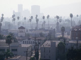 Buy Palm Trees and Smog Over Buildings, Los Angeles, USA at AllPosters.com