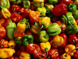 Capsicums at Brixton Market, Brixton, London, England