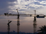 Construction Site Cranes at Sunset, Dubai, United Arab Emirates