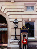 Guard at Buckingham Palace, London, England
