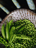 Buy Fresh Green Peas in Bowl, Melbourne, Victoria, Australia at AllPosters.com