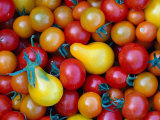 Tomatoes from Ballymaloe Cooking School, Shanagarry, Ireland