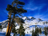 Buy Snow Covered Mountain in Sierra Nevada, California, USA at AllPosters.com