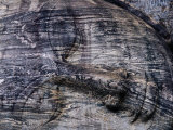 Buy Detail of Stone Face of Reclining Buddha at Gal Vihara, Polonnaruwa, Sri Lanka at AllPosters.com