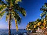 Palm Trees on Beach, Anse La Raye, Anse-La-Raye, St. Lucia