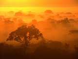 Morning Mist Over the Tambopata Candamo National Park, Amazonas, Peru