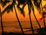 A Couple in Silhouette, Enjoying a Romantic Sunset Beneath the Palm Trees in Kailua-Kona, Hawaii